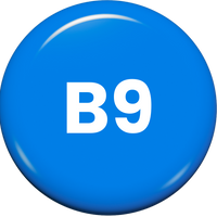 Folate (B9)